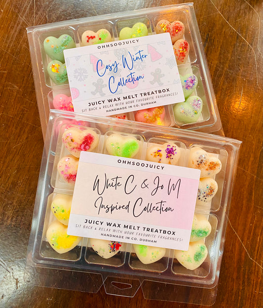 Juicy Wax Melt TreatBox (Colours May Vary)
